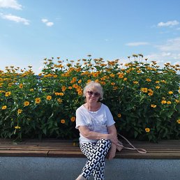 ���� �������, �����, 67 ��� - ��������� 4 ������� 2023