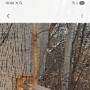 ���� �������, ������, 64 ���� - ��������� 16 ������ 2025 � ������ ���� ����������