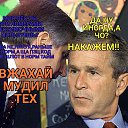 ���� ����, ������, 41 ��� - ��������� 3 ������ 2024 � ������ ���� ����������