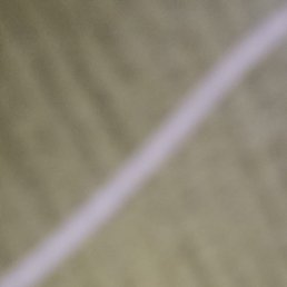 ˸��, �����, 21 ���