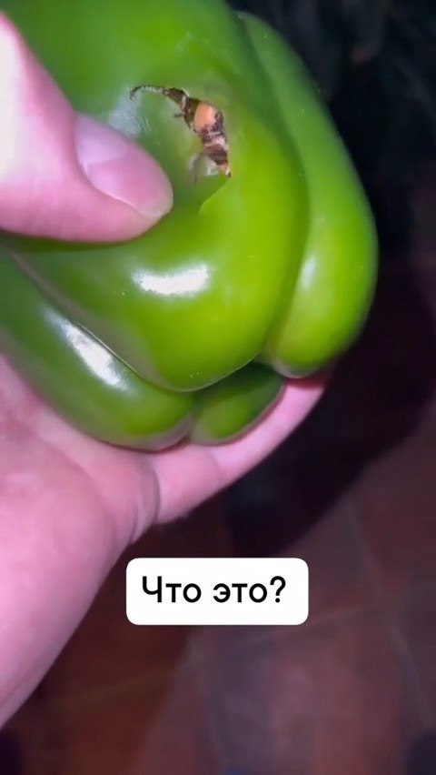       - 2