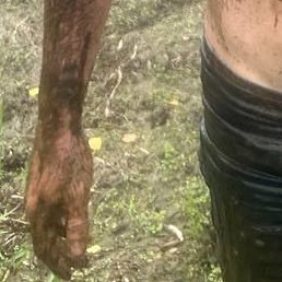 ����������, ������, 38 ���