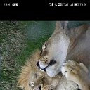 ���� ������, ��������� - ��������� 1 ���� 2026 � ������ ���� ����������
