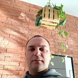 Levan, 45, 