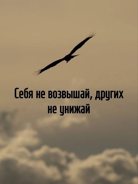 Я не бездельничаю – я просто провожу мозговой штурм с самим собой