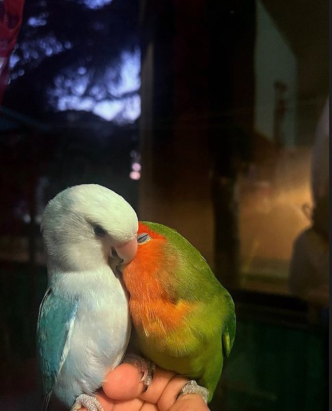 ��� ��� ����� � �� ������ ����, � ��������� ����������� ����. ��� ������ �����, ��������� ����� � ... - 2