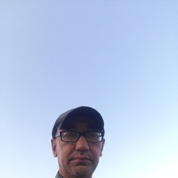 , 41, 