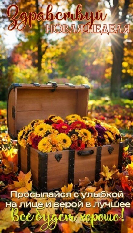 ***Victoria Viktorovna*** - 27 октября 2025 в 03:10