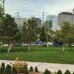 �����, ������, 52 ����