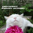 ���� ��������, �����, 29 ��� - ��������� 27 ������ 2023