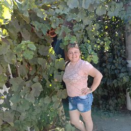 ���� ���������, �����, 44 ���� - ��������� 23 ����� 2026