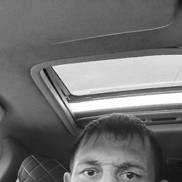 , 38, 