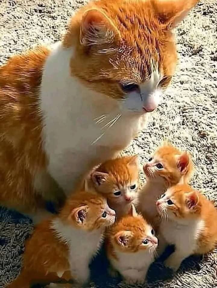 :)  ...