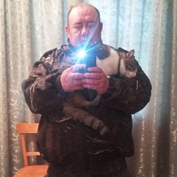 �������, 37 ���, ���������