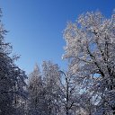 ���� ���������, ��������, 73 ���� - ��������� 13 ����� 2025 � ������ �����