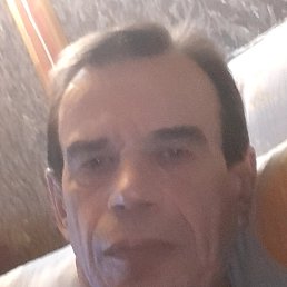 ���� ����, ������, 62 ���� - ��������� 29 ������ 2024