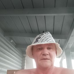 , 51, , - 