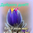 ���� ���������, ���������� - ��������� 7 ��� 2026 � ������ ���� ����������