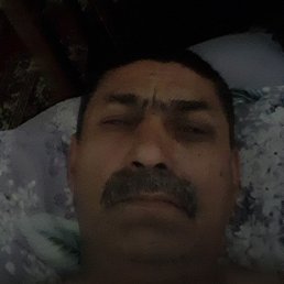 , , 58 