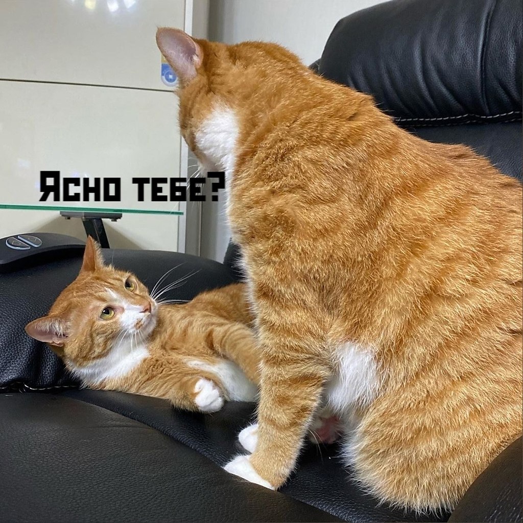     ))) - 2
