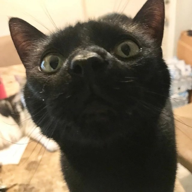  !