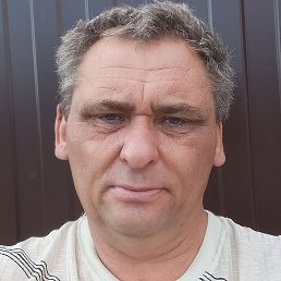 ���� �������, �������, 46 ���