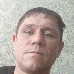 �������, �������, 37 ���