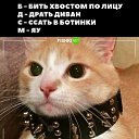 ���� M0tul, ������ ��������, 33 ���� - ��������� 16 ������� 2024