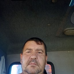 ������� �������, 46 ���, ���������