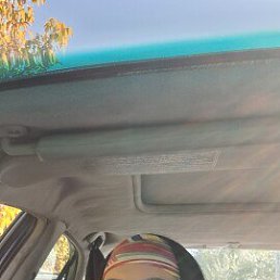 , 40, 