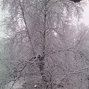 ���� Elena, ������, 52 ���� - ��������� 24 ������ 2026 � ������ ���� ����������