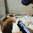 ���� ������, ������, 55 ��� - ��������� 18 ���� 2026 � ������ ������ ��������