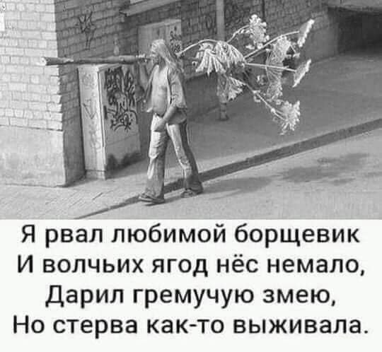  - 1  2025  12:56