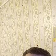 , 46 , 