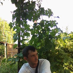 , 35, 