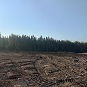 ���� ������ ��������, �����-���������, 43 ���� - ��������� 1 ���� 2024