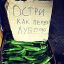 ���� ����, ������ - ��������� 23 ������� 2023 � ������ ���� ����������