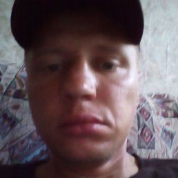 , 37, 