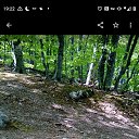 ���� ��������, ��������������, 70 ��� - ��������� 1 ������ 2024 � ������ ���� ����������
