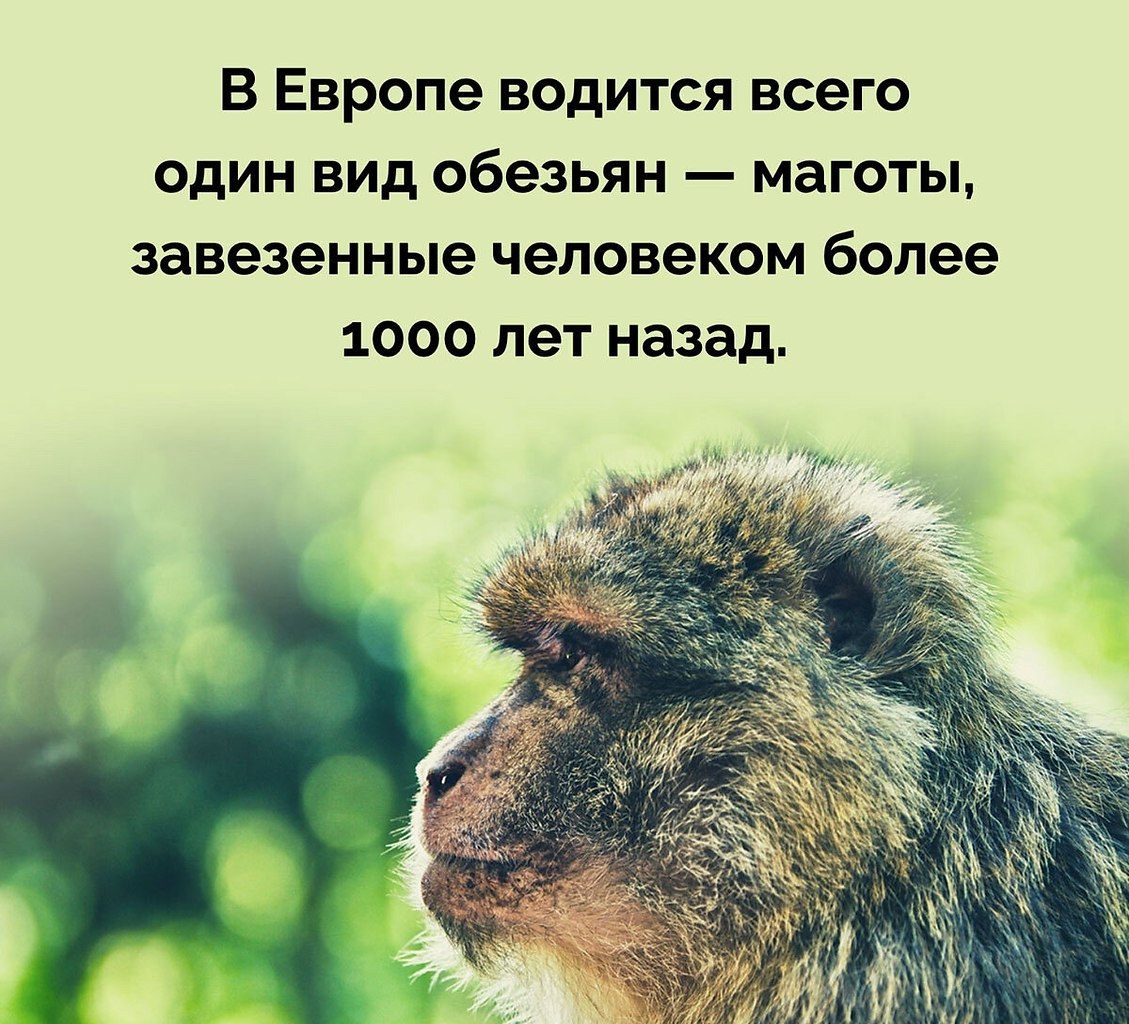 �������� - 31 ��� 2025 � 08:10