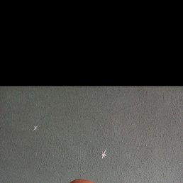 ���, ������, 43 ����