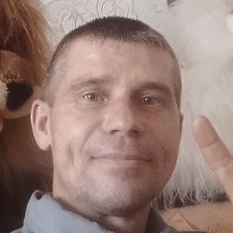 �������, ���������, 46 ���