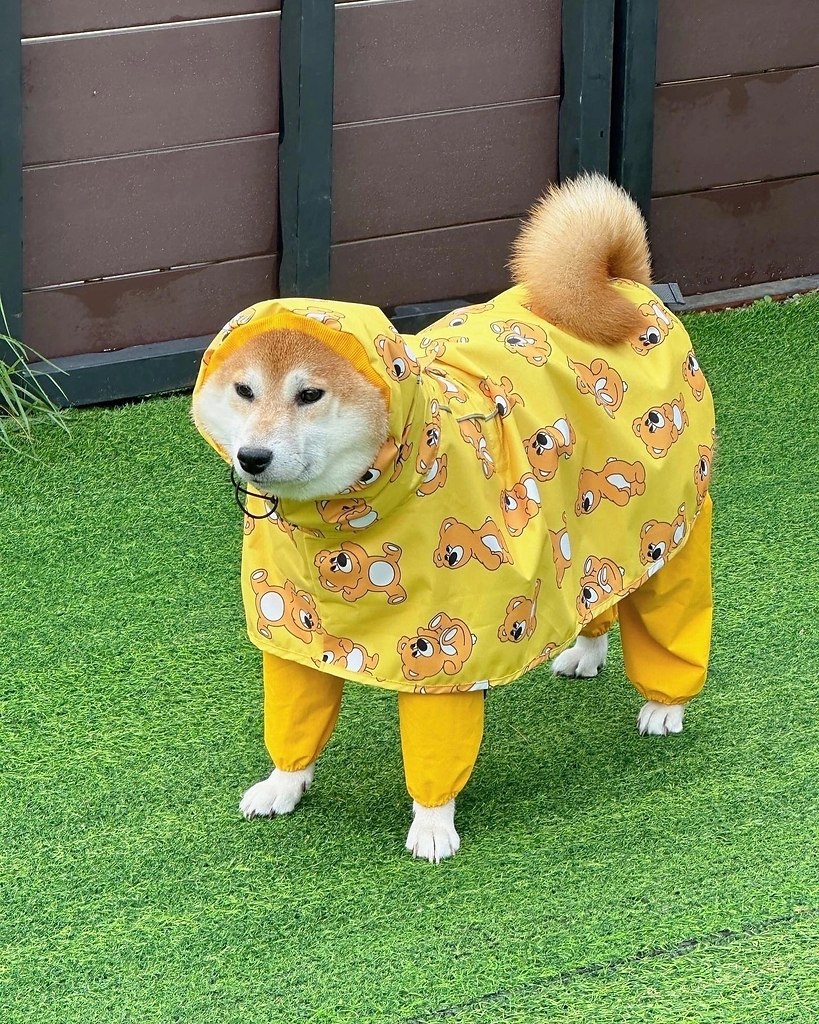             ! - 2