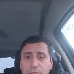 ���� �����, ������, 43 ���� - ��������� 28 ������ 2023