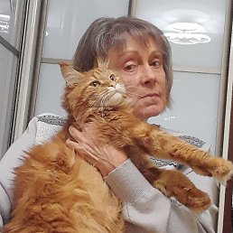 ��������, ����, 60 ���