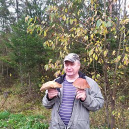 ����, 62 ����, ������