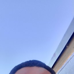 , 34, 