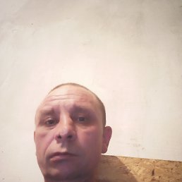 ���� ������, �����, 46 ��� - ��������� 25 ������� 2023