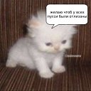 ���� �����, �����-���������, 22 ���� - ��������� 22 ������� 2023