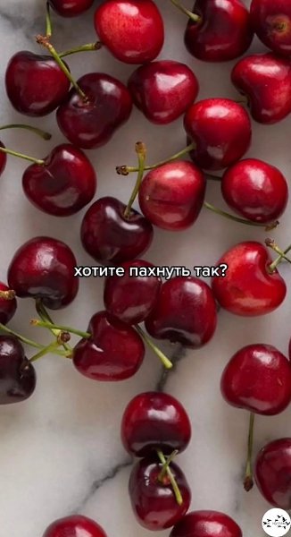 ���� ����� ����� � �������